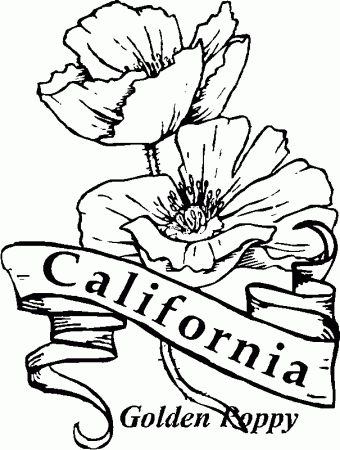 California Poppy Coloring Pages | Kids Coloring Pages | Printable 