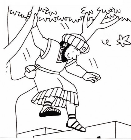 Zacchaeus Coloring Pages Bible Stories 296 | Free Printable 