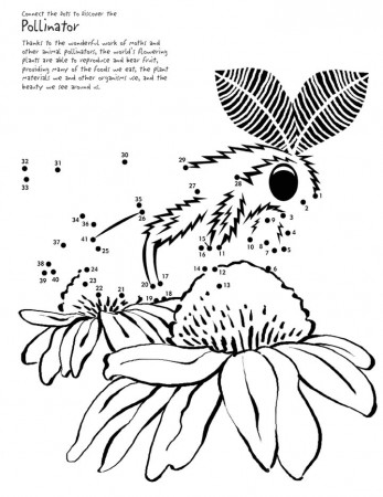 Moth - Connect the Dots Page for Kids - Printable Worksheet