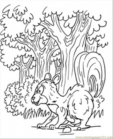 Coloring Pages Skunk In Forest Coloring Page (Natural World 