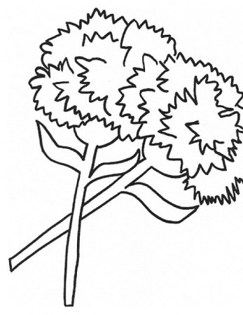CARNATIONS Colouring Pages (page 2)