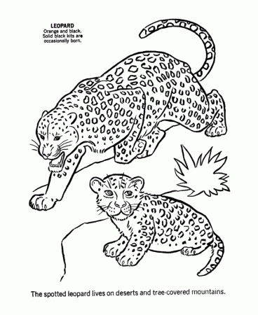 wild animal coloring pages leopard page and kids activity 