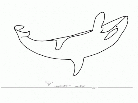 orcas Colouring Pages