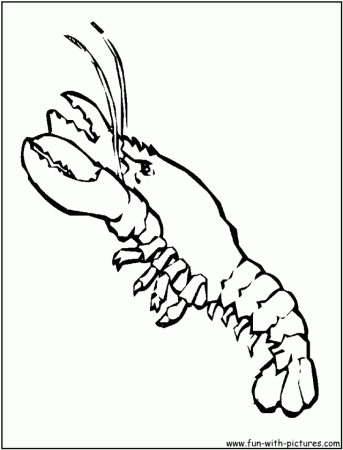 Lobster Coloring Pages For Kids 199419 Lobster Coloring Page