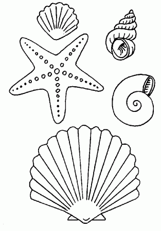 Shells coloring pages