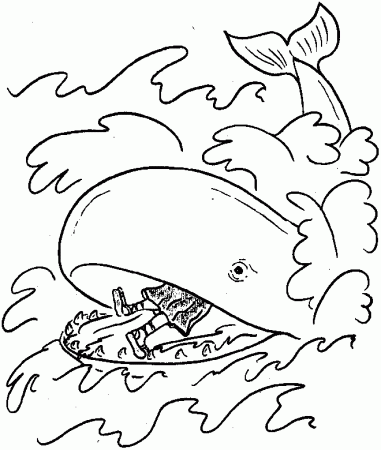Humpback Whale Coloring Pages For Kids | Animal Coloring Pages 