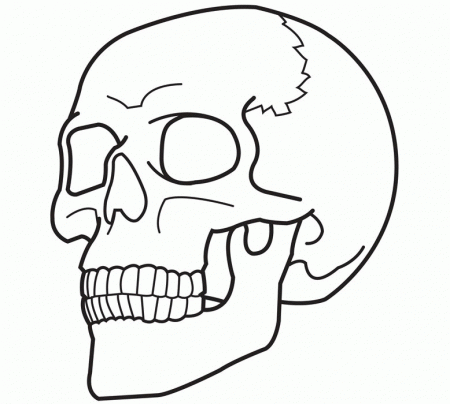 Free Printable Skull Coloring Pages For Kids 2014 | Sticky Pictures