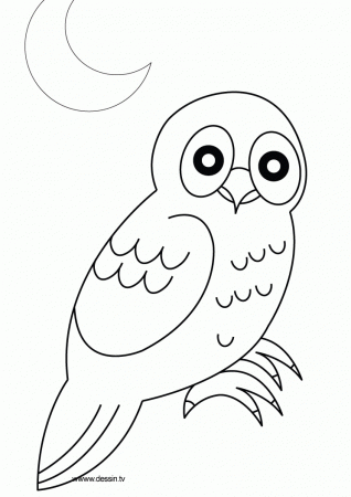Owl Coloring Pages | Coloring page | #39 Free Printable Coloring 