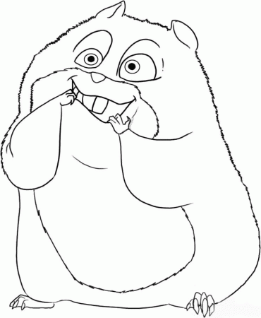 Disclaimer 543 Hamster Coloring Pages 567 X 765 44 Kb Jpeg 