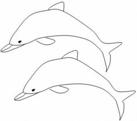 DOLPHIN COLORING PAGES-BLACK AND WHITE PICTURES FOR COLORING