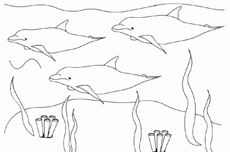 Animal Coloring Dolphin Coloring Pages Dolphin Pictures To Color 