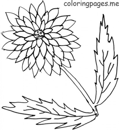 Search Results » Polka Dotts Printable Coloring Pages