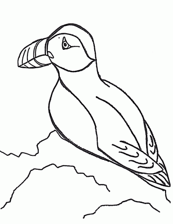 Puffin coloring page - Animals Town - animals color sheet - Puffin 