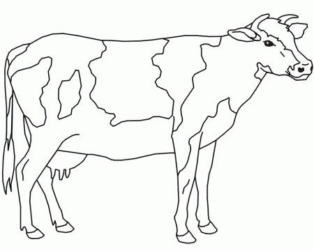 Cow Coloring Page | A Realistic Cow Drawing