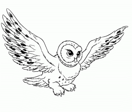 Owl-Flying-Coloring-Pages.jpg