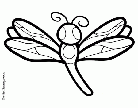 Butterflies - A butterfly with beautiful wings coloring page