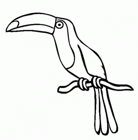 rainforest animal coloring pages | Color On Pages: Coloring Pages 
