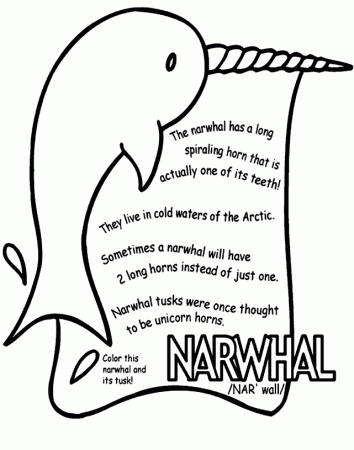 Narwhal-coloring-1 | Free Coloring Page Site