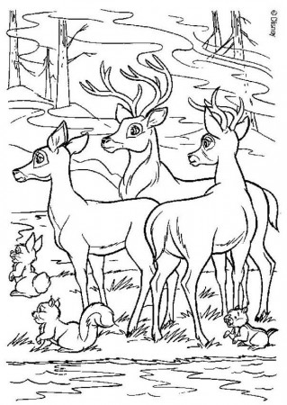 BAMBI coloring pages - Bambi 46