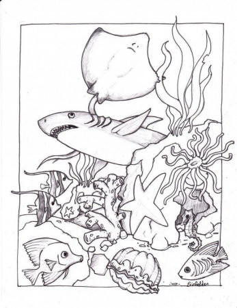 Download Ocean Coloring Pages For Adults Kids Colouring Pages 