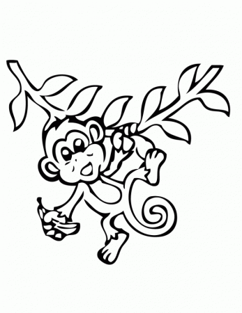 Monkeys Coloring Pages Coloring Book Area Best Source For 205583 