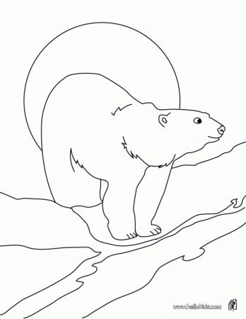 ARCTIC ANIMALS Coloring Pages Polar Bear Printable 96089 Antarctic 