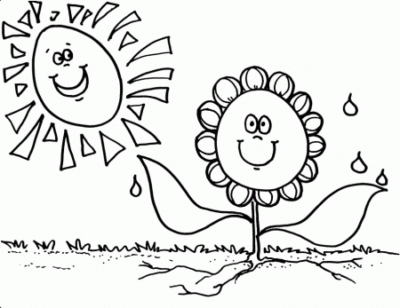 Sunflower Coloring Pages Large Sunflower Coloring Page Greatest