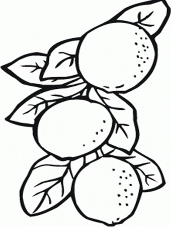Cupcake Candied Orange Blossom Coloring Pages : KidsyColoring ...