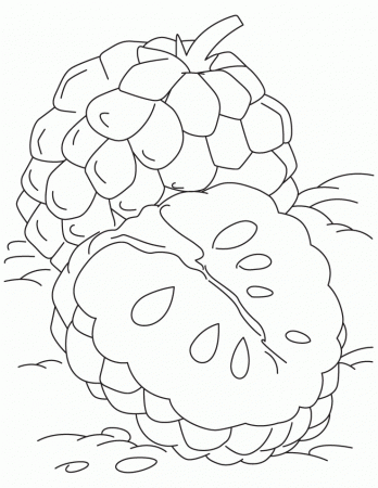 Tropical custard apple coloring pages | Download Free Tropical 
