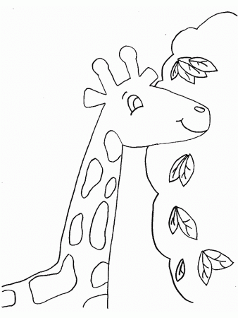 Giraffe Coloring Pages Hhkpp