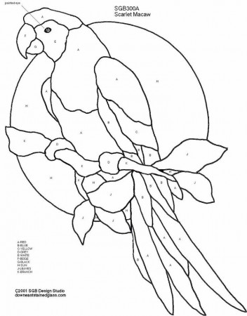 Scarlett macaw | coloring pages