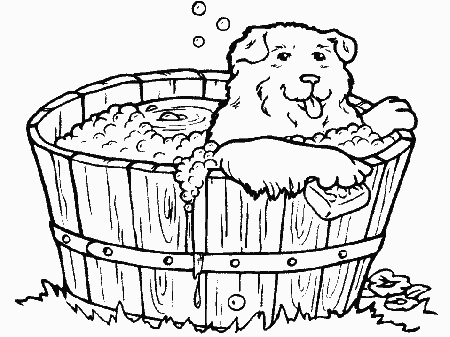 Bulldog Coloring Pages Dogs