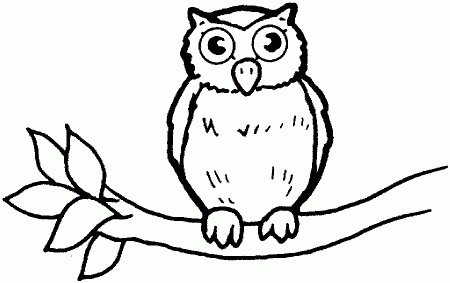 owl outline drawing | Coloring Picture HD For Kids | Fransus 