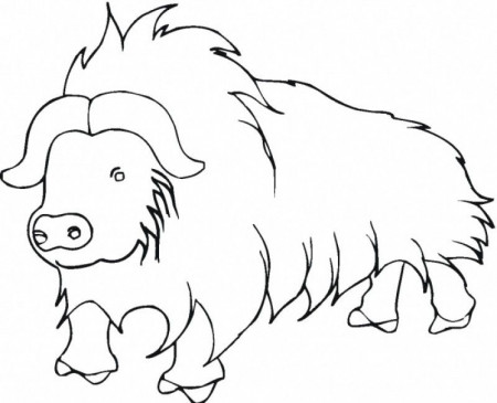 Coloring Pages A Buffalo - HD Printable Coloring Pages