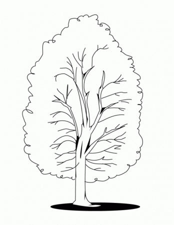 Printable tree Coloring Pages For Kids | Coloring Pages