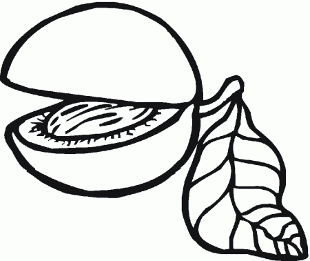 Fruits | Free Printable Coloring Pages – Coloringpagesfun.com 