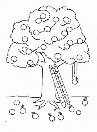 Tree Coloring Pages : Apple Tree And Ladder Coloring Page Kids 