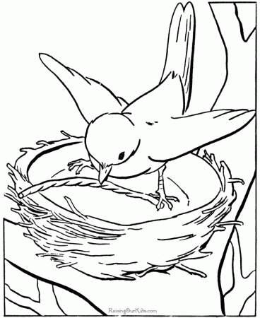 Birds Coloring Pages For Kids Printable 70 | Free Printable 