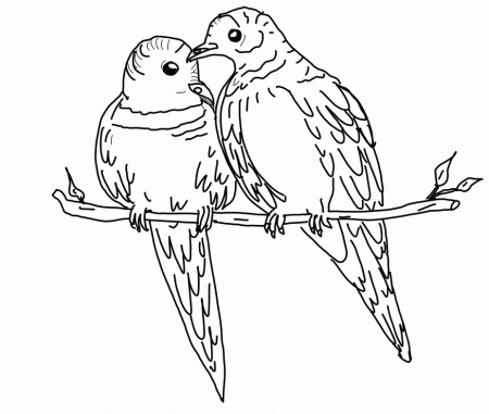 Newest Dove Coloring Page - deColoring