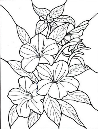 hawiian flowers Colouring Pages