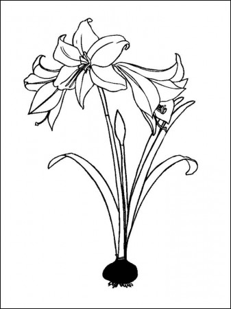 Free Kids Coloring Pages Flowers