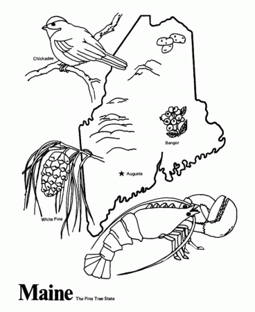 50 States Coloring Pages | Geography