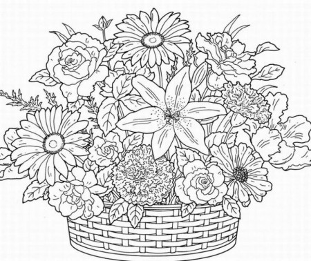 Free Printable Coloring Sheets For Adults | Alfa Coloring 