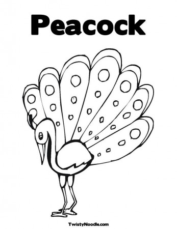 peacock outline Colouring Pages (page 2)