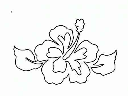 Free Tropical Flower Coloring Pages 241652 Hibiscus Coloring Page