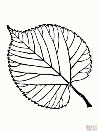 The Leaf Colouring Pages Page Id 36825 Uncategorized Yoand 145056 