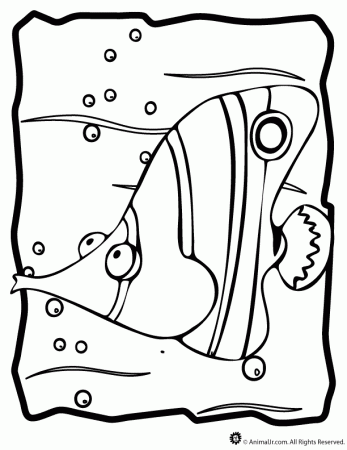 Fish-coloring-pages-12 | Free Coloring Page Site
