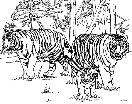 Animal Coloring Free Tiger Coloring Pages Tiger 7 : tiger coloring 
