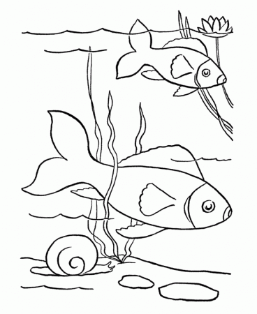 Pet Fish Coloring Pages | Free Printable Pet Fish Coloring Pages 