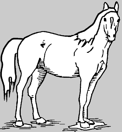 Horse Standing in Pasture Coloring Page | Purple Kitty